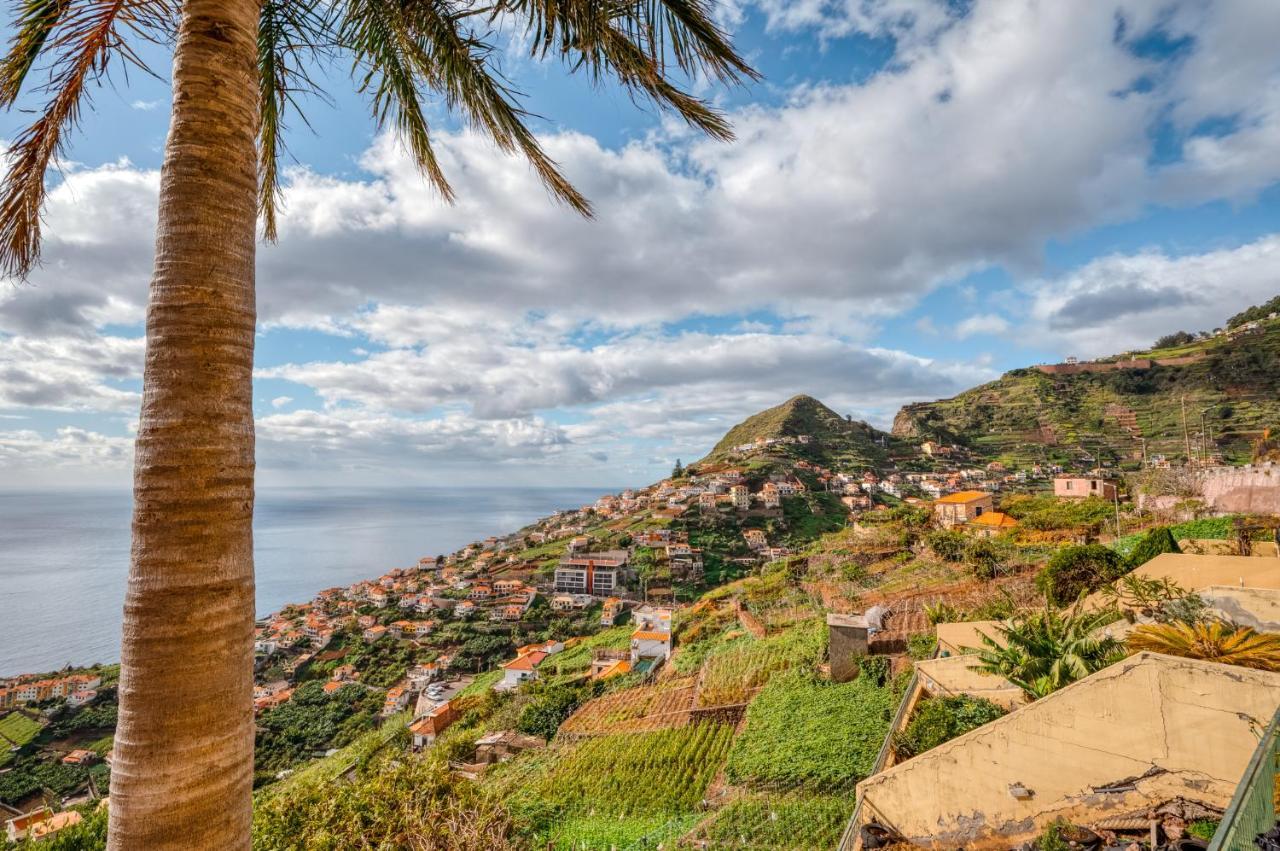 Villa Palm Tree House By Amazing Madeira Câmara de Lobos Esterno foto